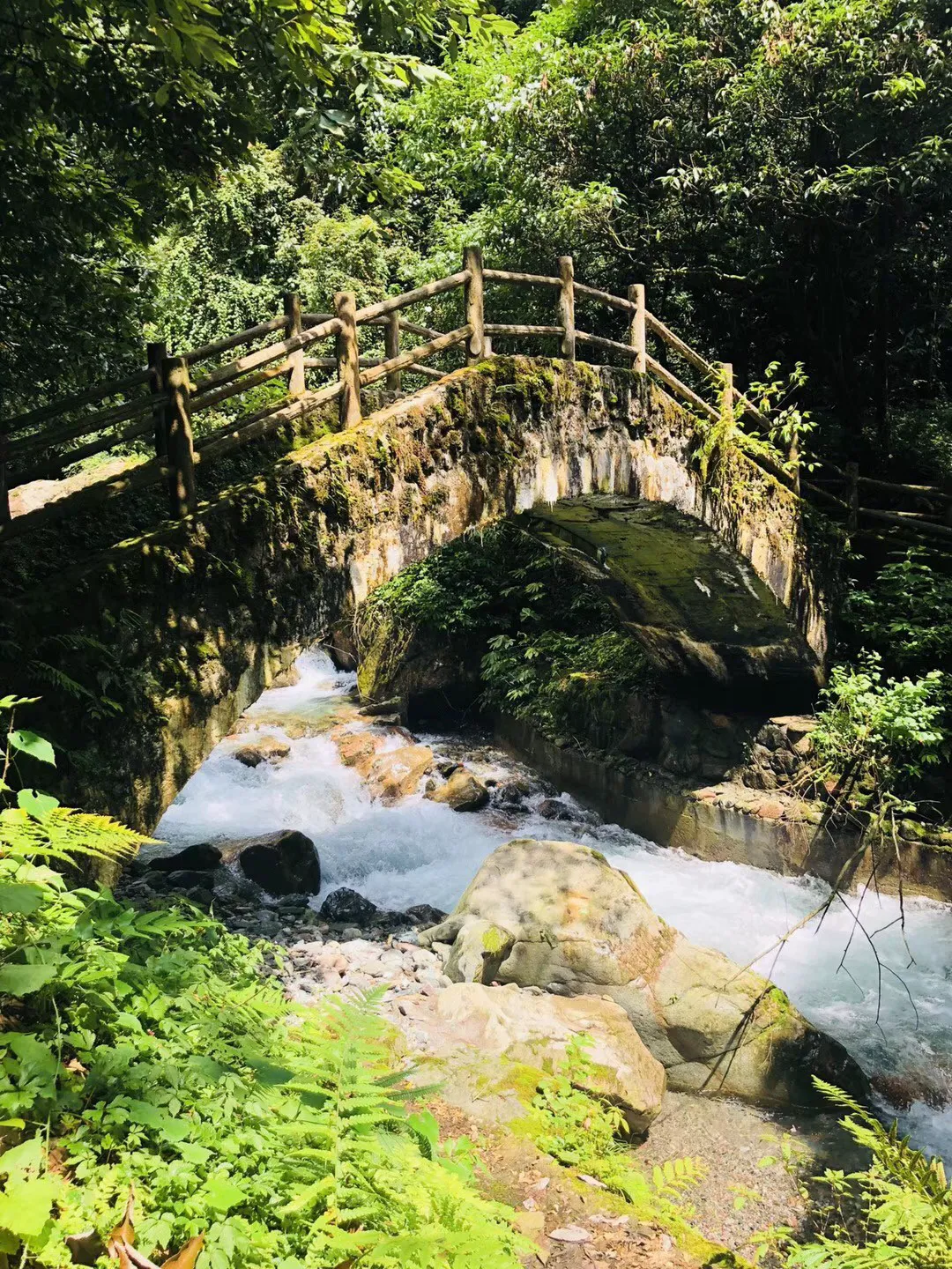 幻想森林逃生